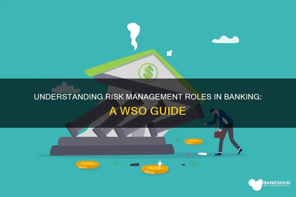 what do rm at banks do wso