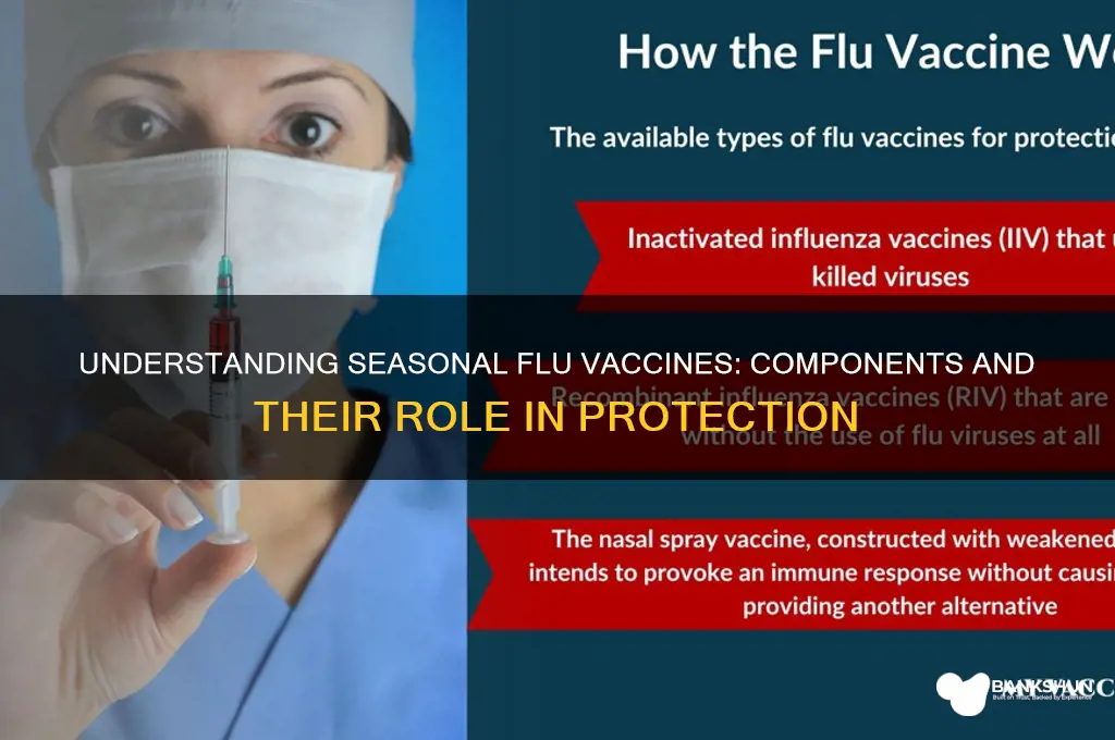 what do seasonal influenza vaccine consist of