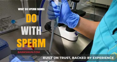 Unveiling the Role of Sperm Banks: How Donated Sperm is Utilized