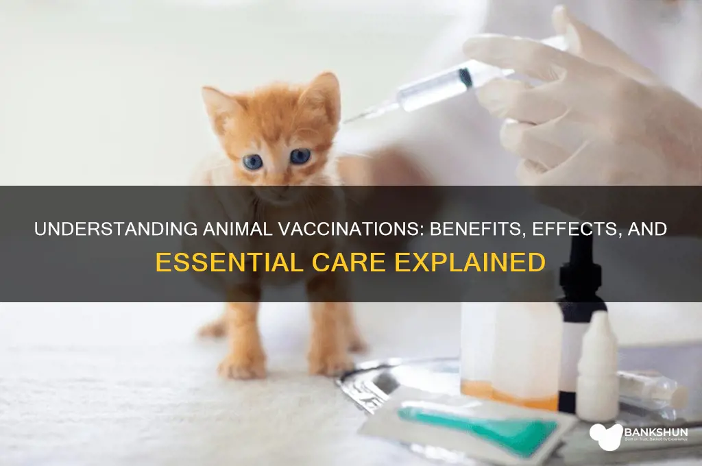what do the vaccinations do to animals