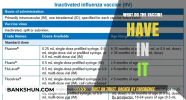 Unveiling Vaccine Ingredients: What’s Inside and Why It Matters