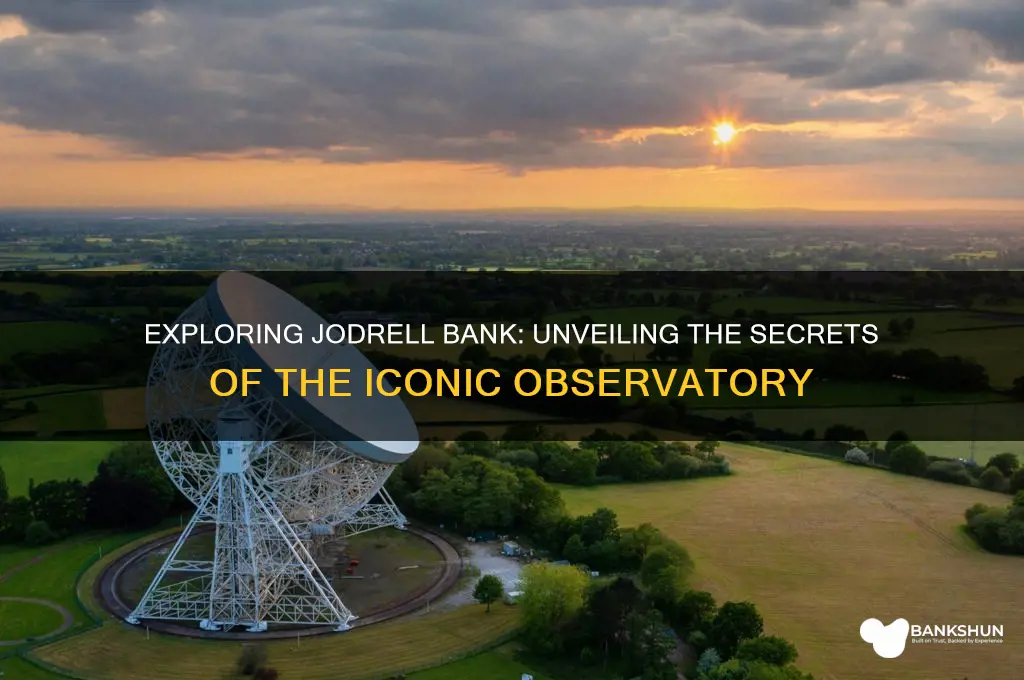 what do they do at jodrell bank