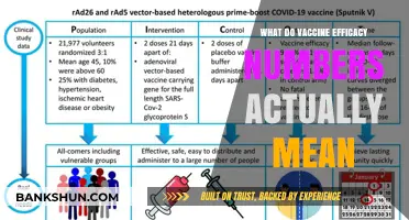 Decoding Vaccine Efficacy: Understanding the Numbers Behind Protection