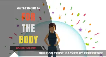 How Vaccines Strengthen Immunity and Protect Your Body