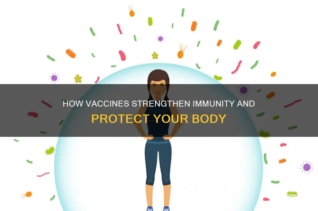 what do vaccines do for the body