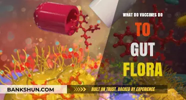 Vaccines and Gut Health: Exploring Their Impact on Microbiome Balance