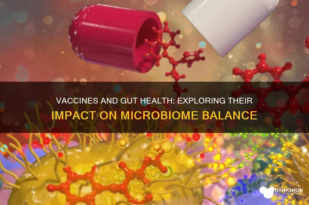 what do vaccines do to gut flora