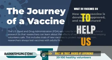 How Vaccines Strengthen Immunity and Protect Against Diseases Effectively
