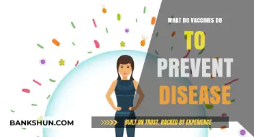 How Vaccines Strengthen Immunity and Prevent Deadly Diseases Effectively