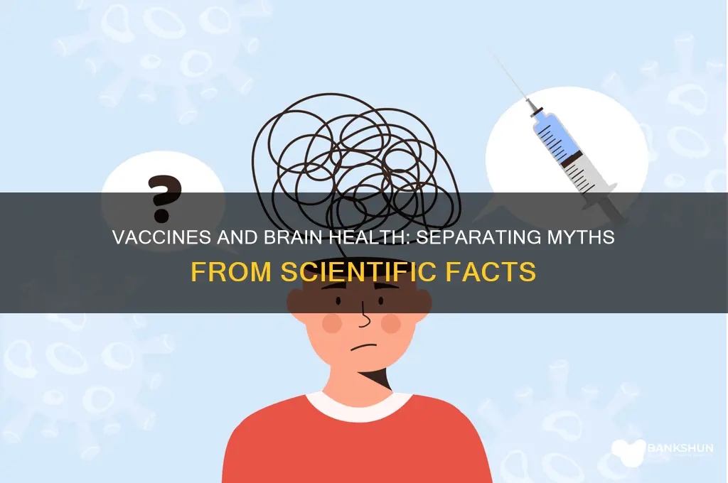 what do vaccines do to the brain