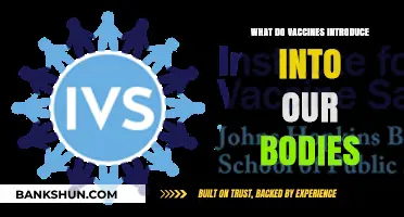 Understanding Vaccines: What Substances Do They Introduce to Our Bodies?