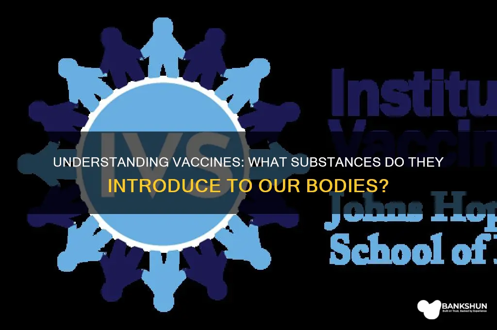 what do vaccines introduce into our bodies