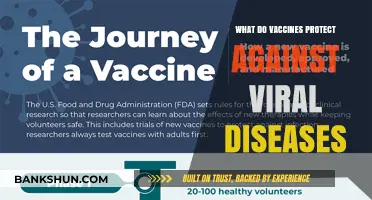 Vaccines: Powerful Shields Against Deadly Viral Diseases and Infections