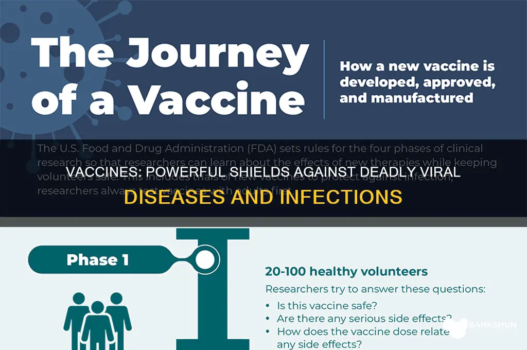 what do vaccines protect against viral diseases