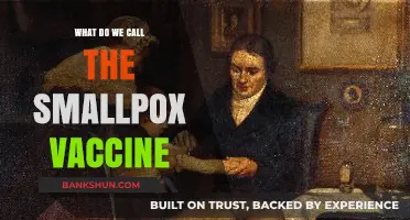 The Smallpox Vaccine: Its Name, History, and Impact on Humanity