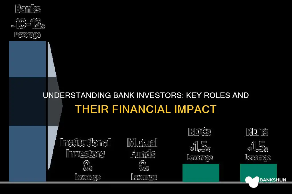 what do you call investors at banks