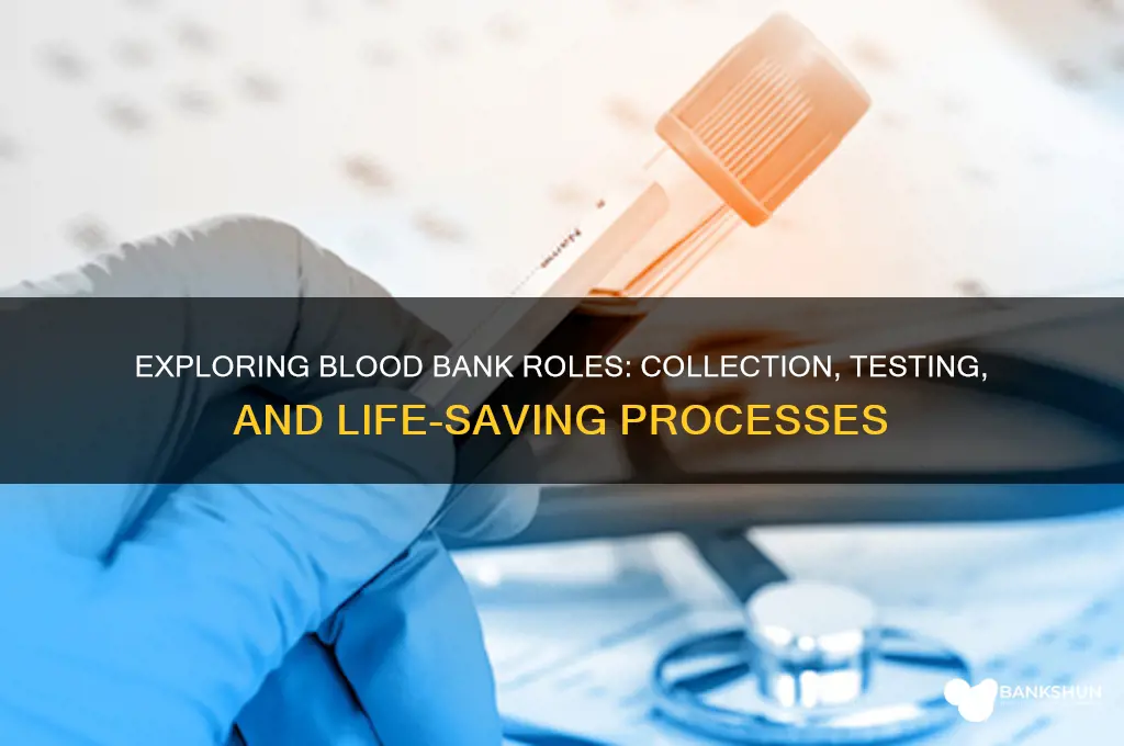 what do you do in blood bank