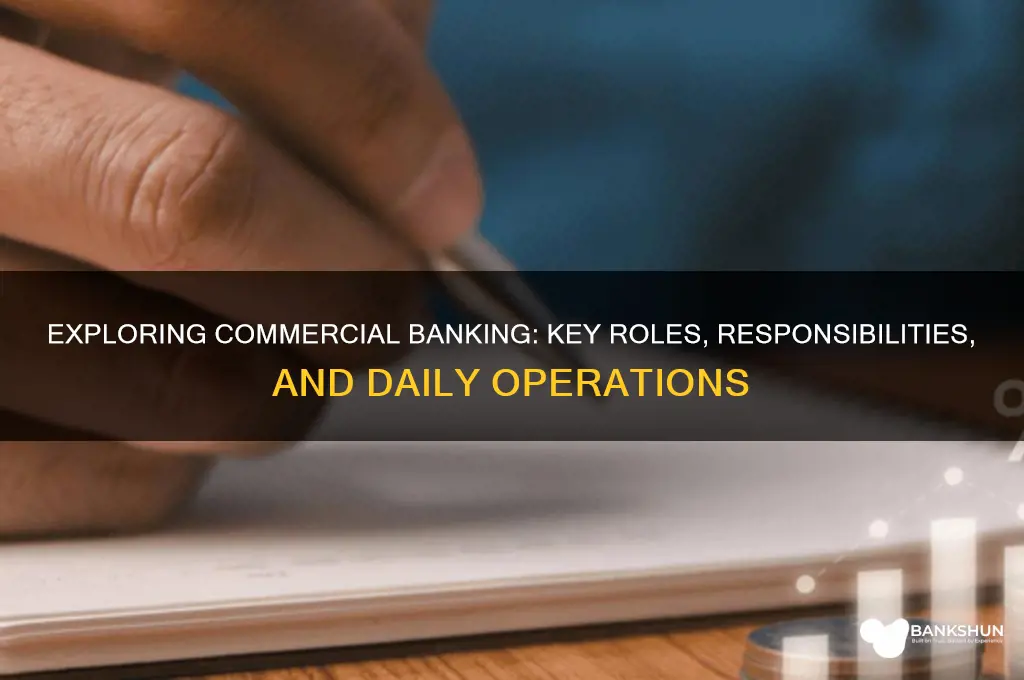 what do you do in commercial banking