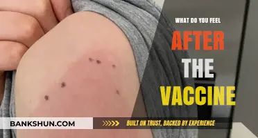 Post-Vaccine Reactions: Understanding Your Body's Response to the Shot