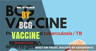 Understanding the BCG Vaccine: Purpose, Benefits, and Common Misconceptions