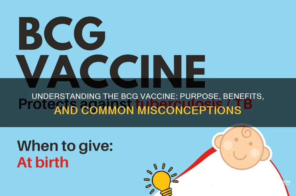 what do you mean by bcg vaccine