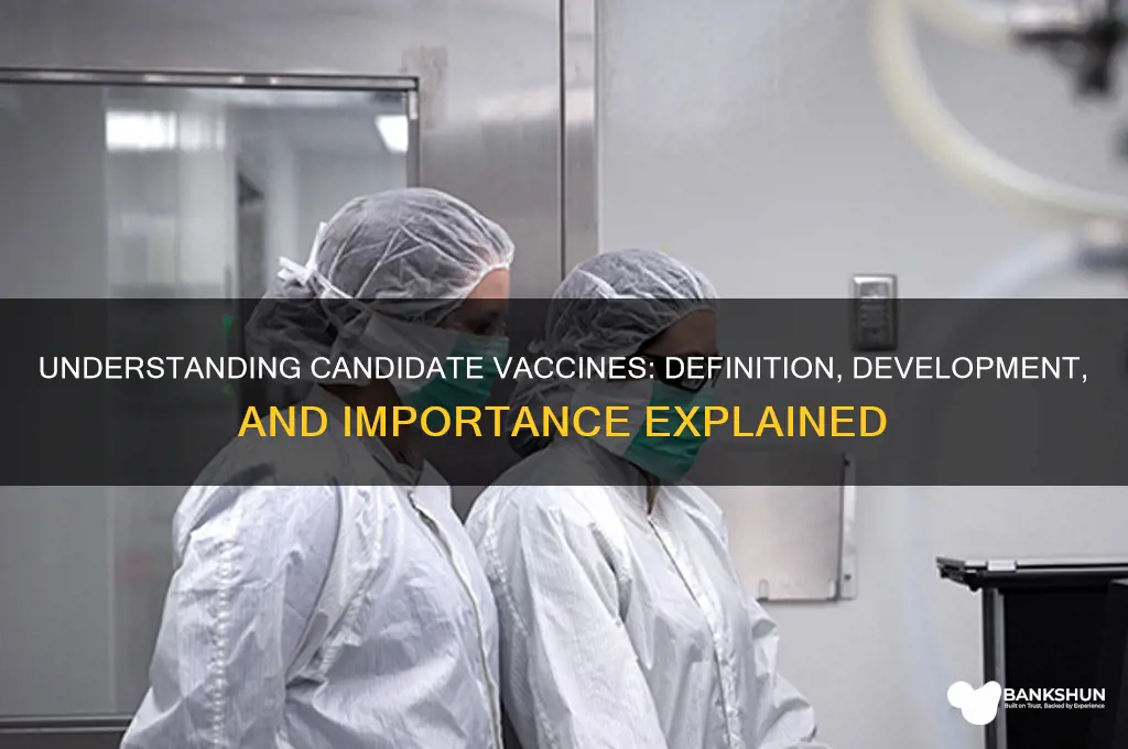 what do you mean by candidate vaccine