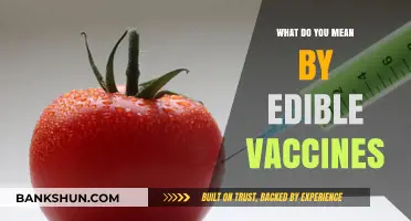 Edible Vaccines: Revolutionizing Immunization Through Food-Based Solutions