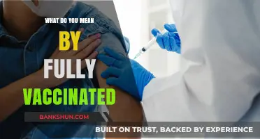 Understanding Fully Vaccinated: Definitions, Requirements, and Global Standards Explained