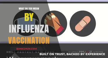 Understanding Influenza Vaccination: Importance, Benefits, and How It Protects You