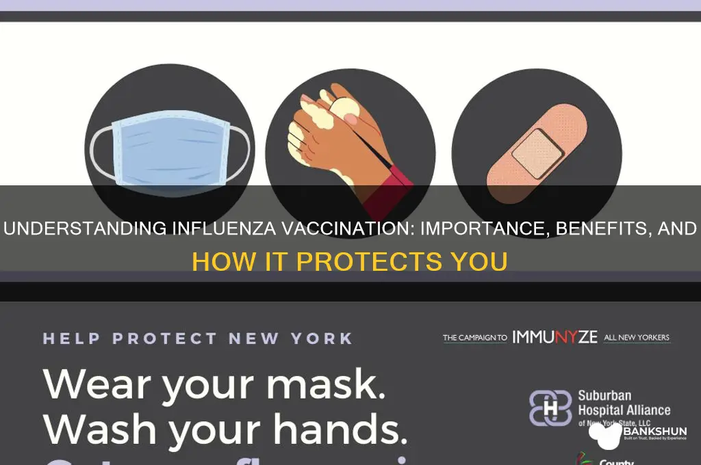 what do you mean by influenza vaccination