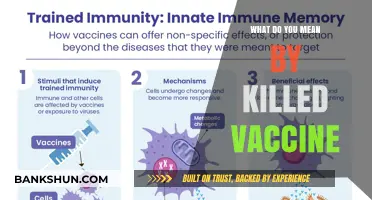 Understanding Killed Vaccines: Definition, Mechanism, and Importance Explained