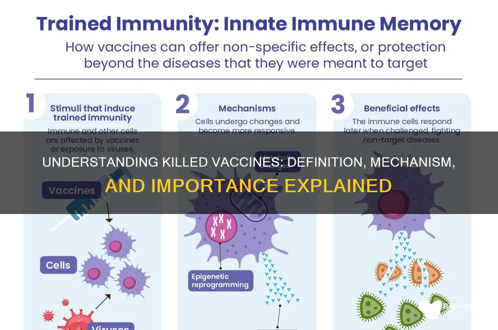 what do you mean by killed vaccine