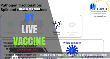 Understanding Live Vaccines: How They Work and Why They Matter