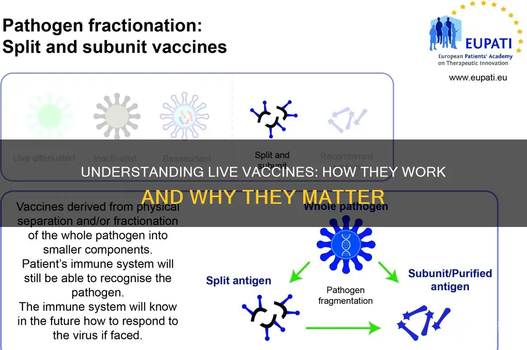 what do you mean by live vaccine