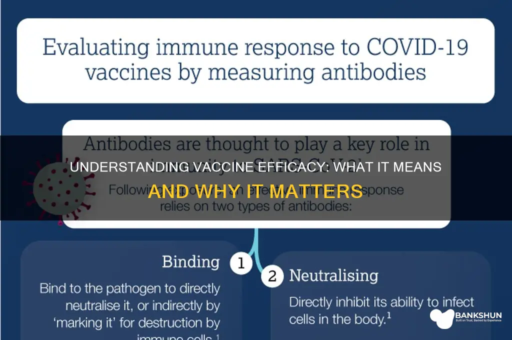 what do you mean by vaccine efficacy