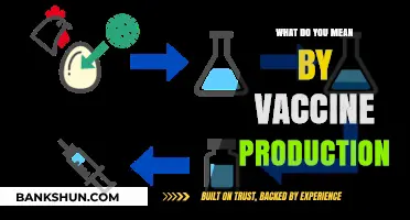 Understanding Vaccine Production: A Comprehensive Guide to Manufacturing Lifesaving Immunizations