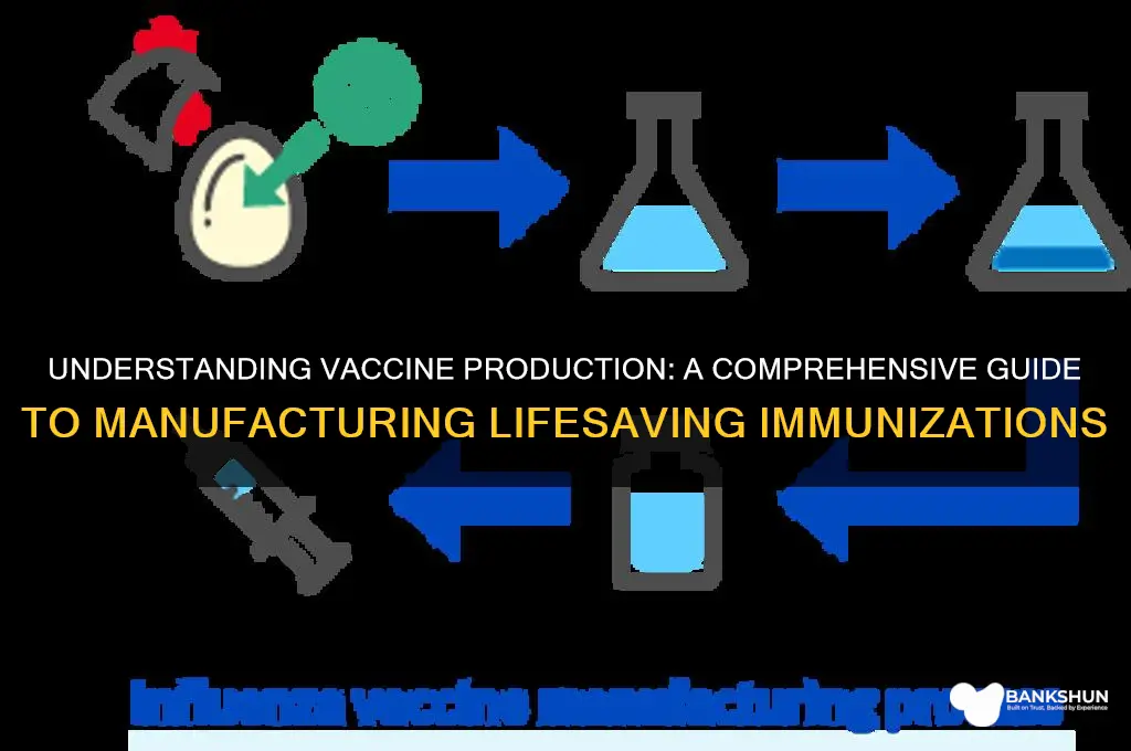 what do you mean by vaccine production