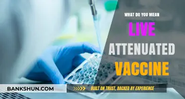 Understanding Live Attenuated Vaccines: How They Work and Why They Matter