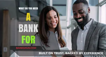 Why Banks Matter: Essential Services for Your Financial Needs