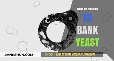 Essential Tools and Techniques for Successfully Banking Yeast at Home
