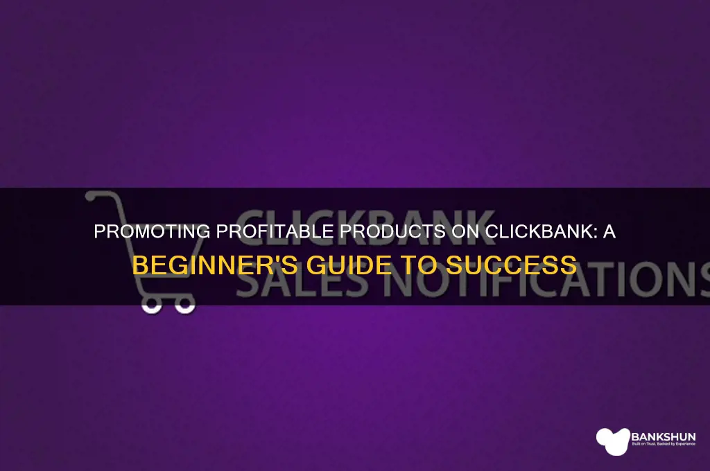 what do you promote on click bank