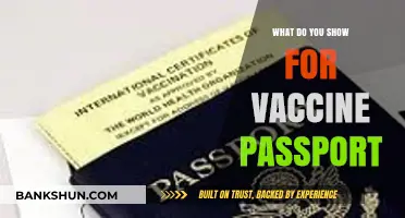 Vaccine Passport Essentials: What Documents to Show for Safe Travel