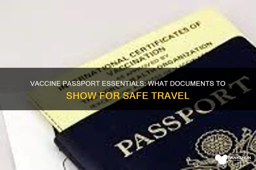 what do you show for vaccine passport