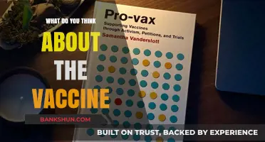 Vaccine Perspectives: Exploring Opinions, Concerns, and the Path Forward