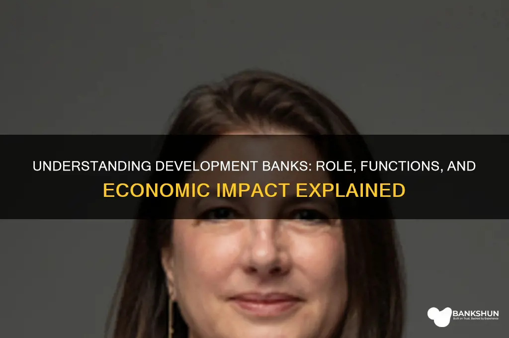 what do you understand by development bank
