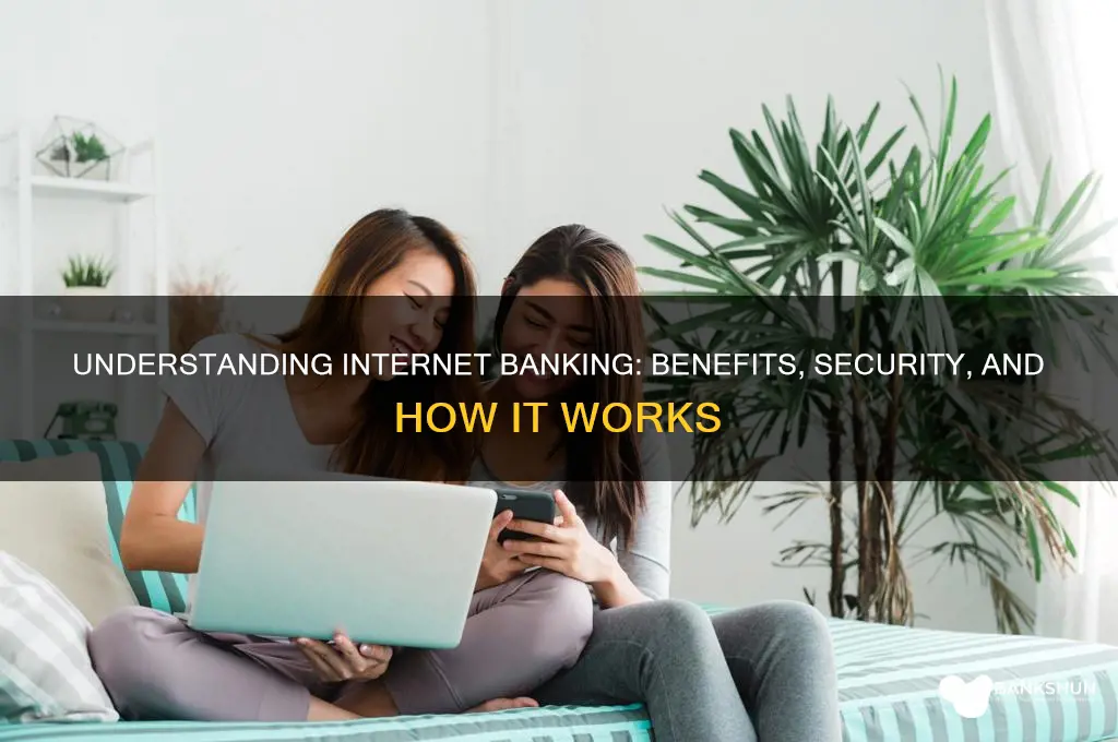 what do you understand by internet banking