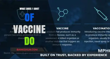 Understanding the Impact: How One Vaccine Shot Boosts Immunity