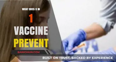 Understanding the 5-in-1 Vaccine: Diseases Prevented and Protection Offered