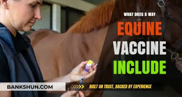 Understanding the Components of a 5-Way Equine Vaccine