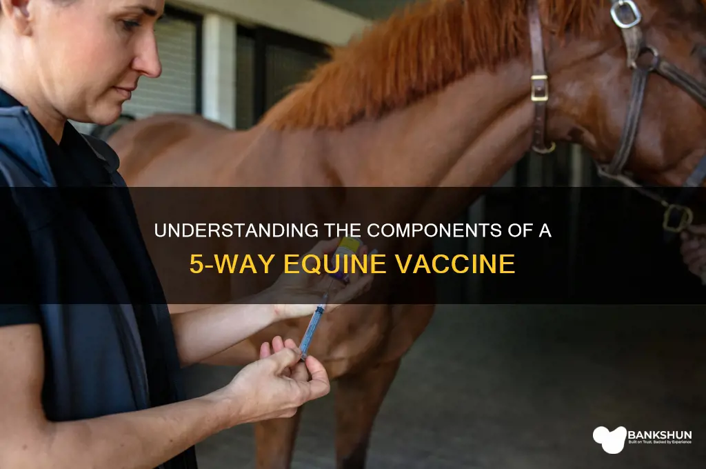 what does 5 way equine vaccine include